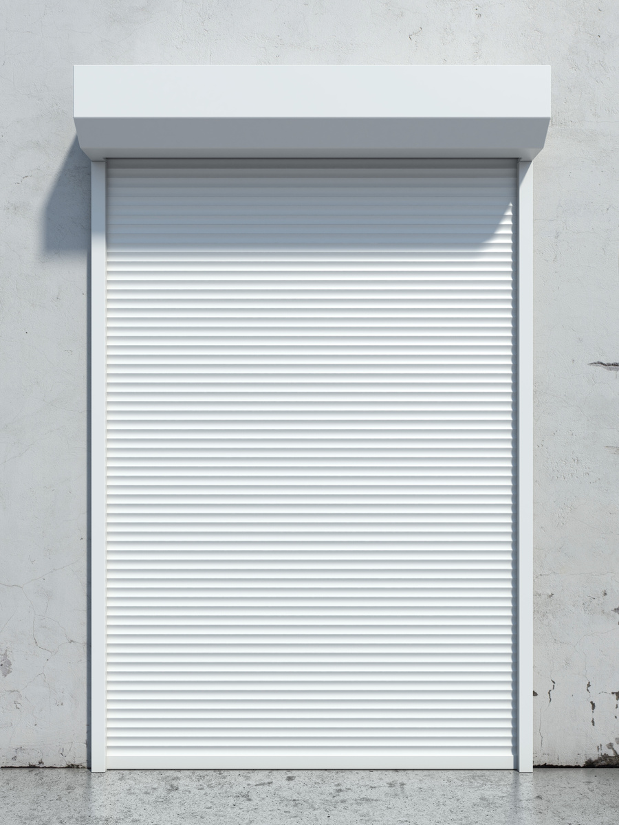 Door with roller shutter